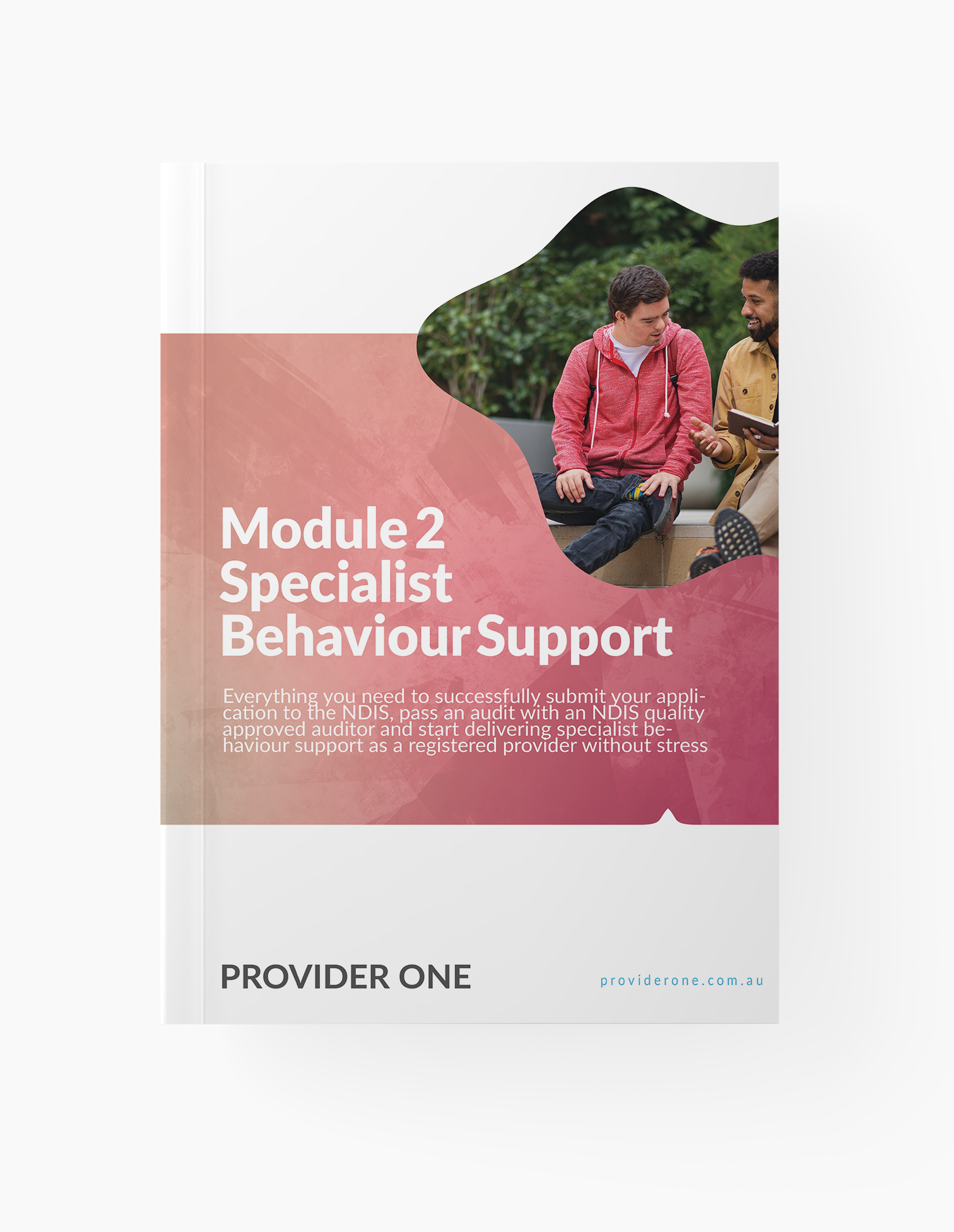 ndis-module-2-specialist-behaviour-support-pack-become-a-ndis-registered-provider